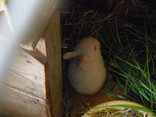 IMGP1232.JPG